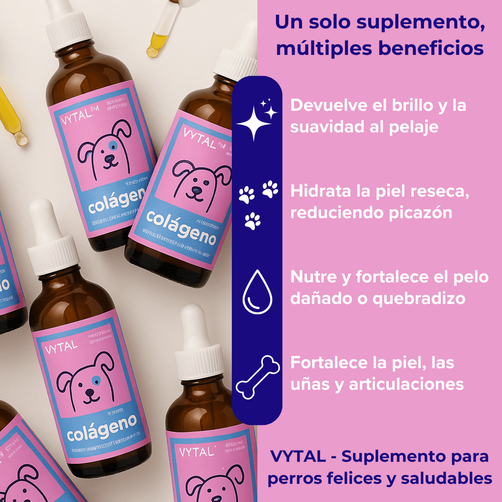 VYTAL™ - El colágeno líquido que devuelve vitalidad, brillo y movilidad a tu perro.