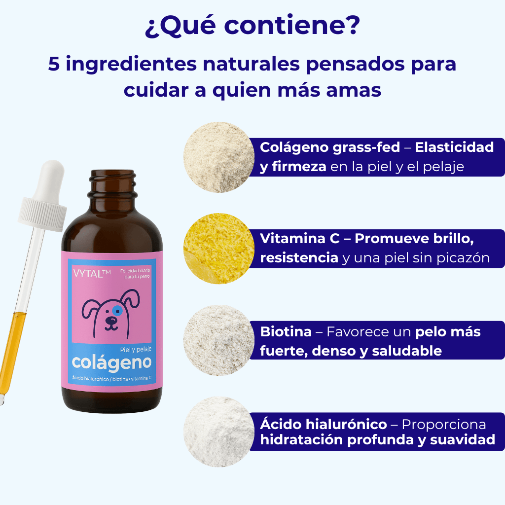VYTAL™ - El colágeno líquido que devuelve vitalidad, brillo y movilidad a tu perro.