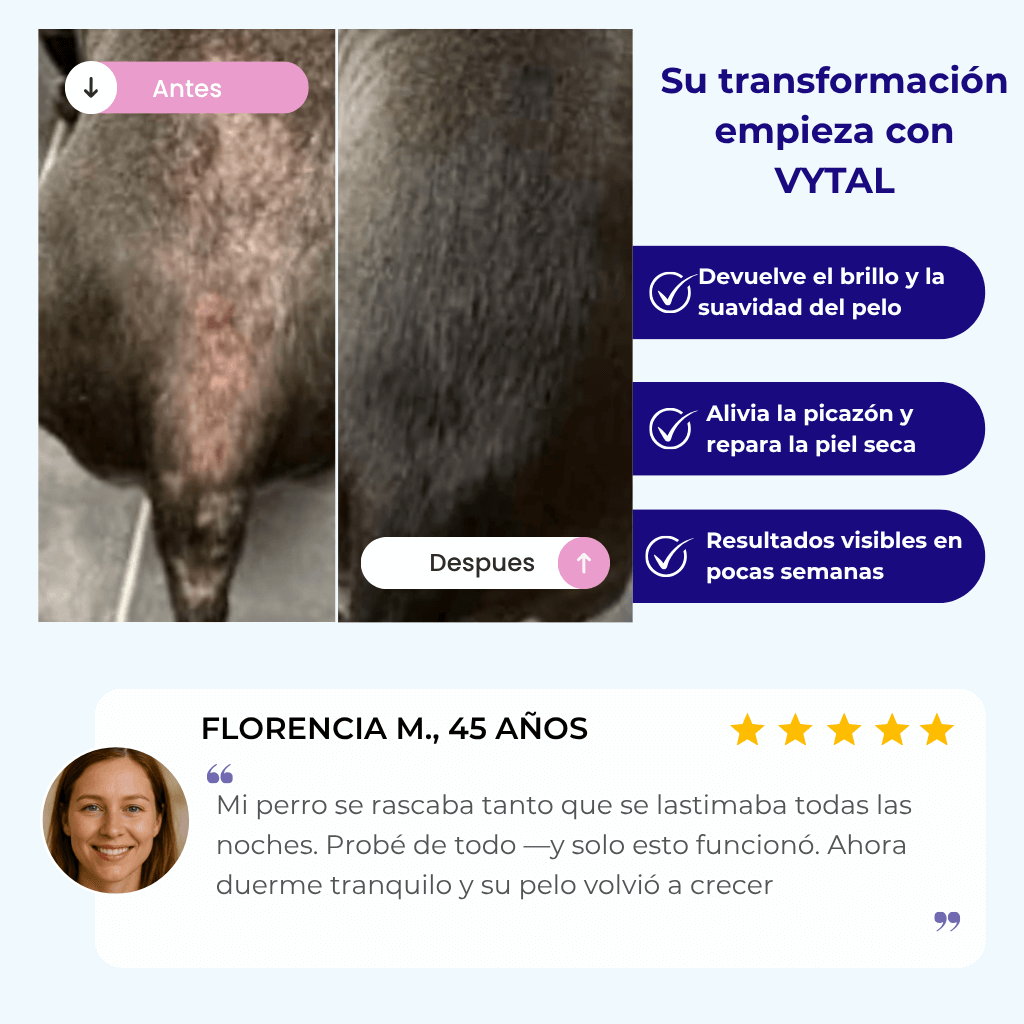 VYTAL™ - El colágeno líquido que devuelve vitalidad, brillo y movilidad a tu perro.