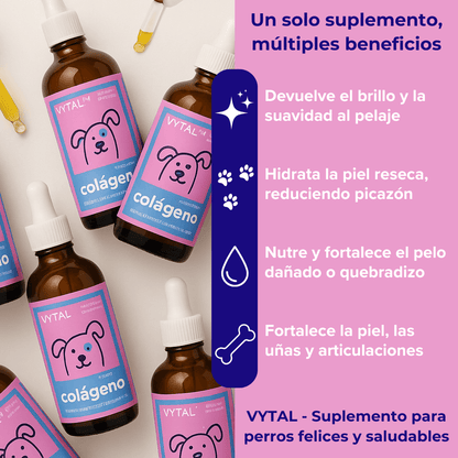 VYTAL™ - El colágeno líquido que devuelve vitalidad, brillo y movilidad a tu perro.