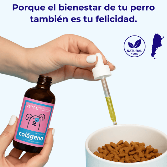 VYTAL™ - El colágeno líquido que devuelve vitalidad, brillo y movilidad a tu perro.